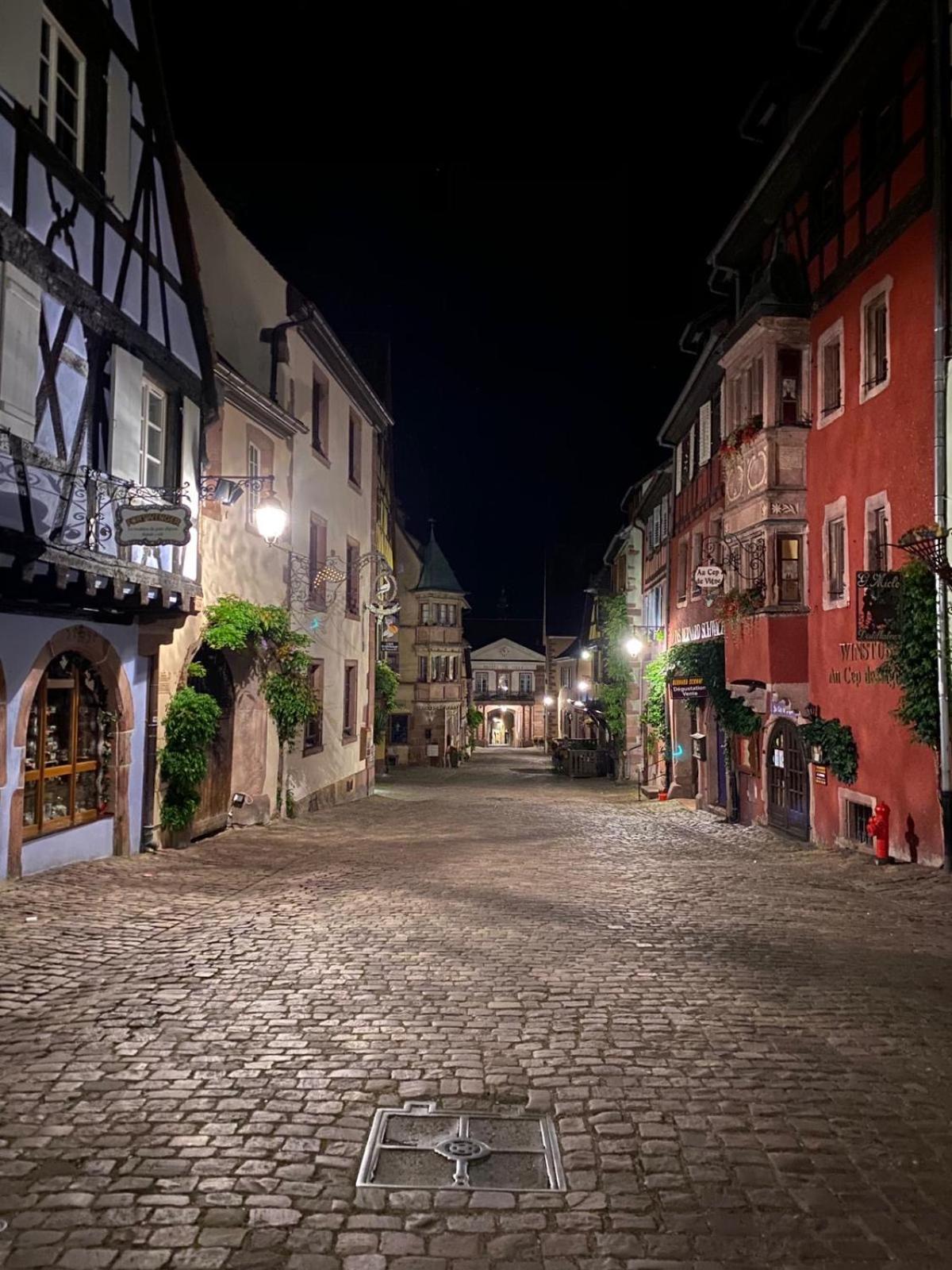 Jeannala Apartment Riquewihr Bagian luar foto